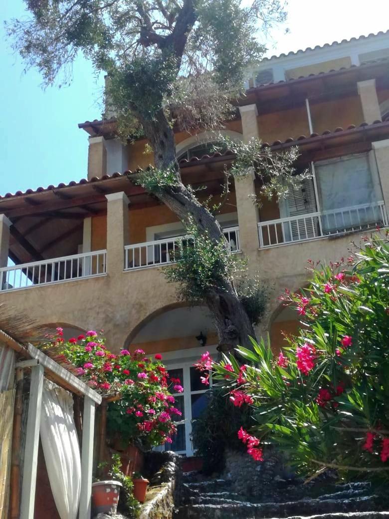 Kohyli Beachfront House Agia Pelagia Chlomou Buitenkant foto